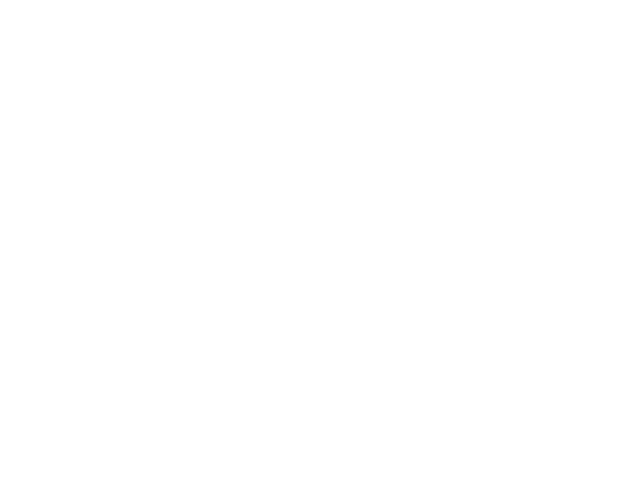 Domynus Capital